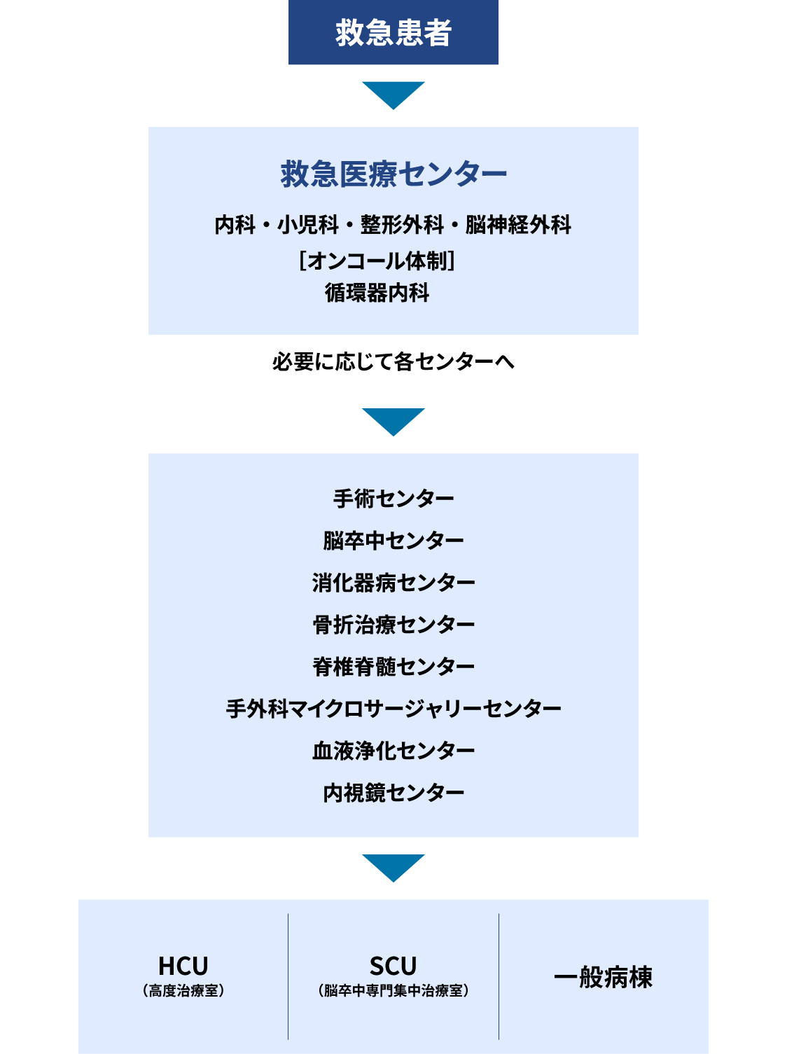 救急医療センター 診療体制の画像
