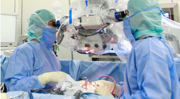 顕微鏡視下手術(脊椎脊髄外科、手外科など)