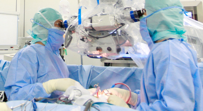 マイクロサージャリー（微小外科手術）